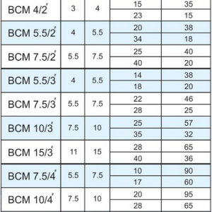 الکتروپمپ سانتریفیوژ 7.5 اسب 3 اینچ موتوژن 3 فاز مدل BCM 7.5/3