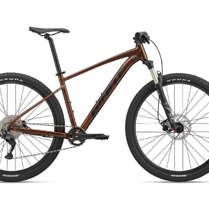 مشخصات، قیمت و خرید دوچرخه جاینت تالون 1 سایز 29 | GIANT Talon 29 1 (2022) | توریست شاپ.jpg