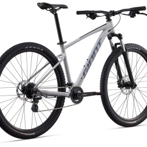 مشخصات، قیمت و خرید دوچرخه جاینت تالون 3 سایز 29 | GIANT Talon 29 3 (2022) | توریست شاپ