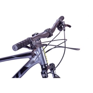 دوچرخه کوهستان جاینت 29 مدل تالون 3 لیمیتد | (Giant Talon 3 29 limited (2020
