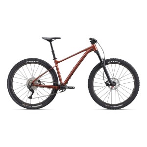 دوچرخه کوهستان جاینت مدل فدوم 2 سایز 29  GIANT Fathom 29 2 (2022)