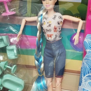 ست کامل باربی با کلبه