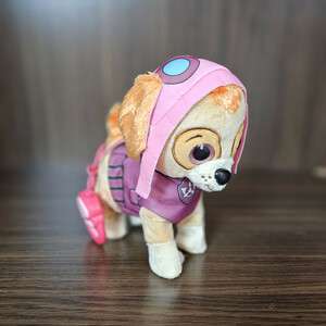 ربات کنترلی مدل سگ های نگهبان اسکای