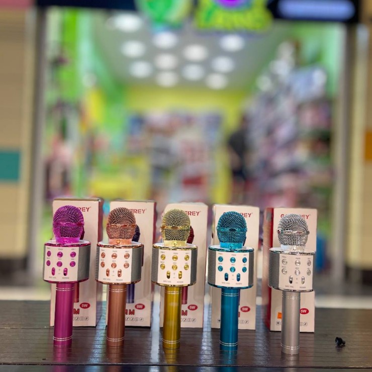 اسپیکر میکروفونی مدل WS-858