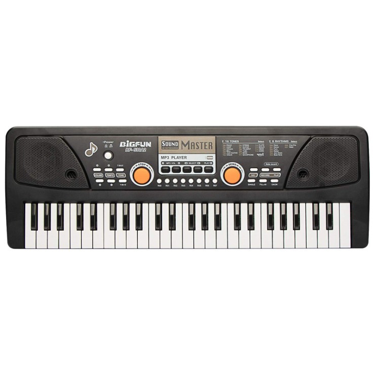 ارگ بیگ فان مدل BF-530A2