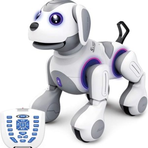 سگ رباتیک کنترلی