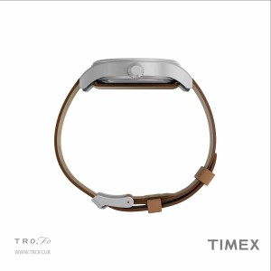 ساعت مچی عقربه ای مردانه تایمکس (Timex) مدل TWH6Z4210