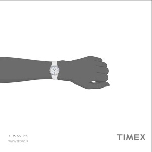 ساعت مچی عقربه ای مردانه تایمکس (Timex) مدل TW2V44100