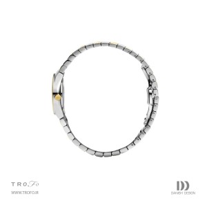 ساعت مچی عقربه ای زنانه دنیش دیزاین (Danish design) مدل IV66Q1293 Jolie Gold Anthracite
