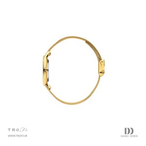 ساعت مچی عقربه ای زنانه دنیش دیزاین (Danish design) مدل IV65Q1251  Akilia Two-Tone Mesh Medium