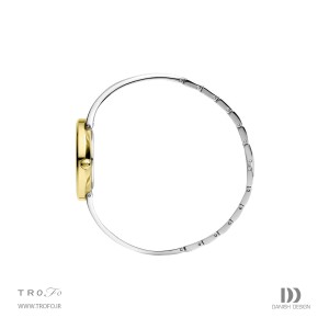 ساعت مچی عقربه ای زنانه دنیش دیزاین (Danish design) مدل IV65Q1295 Nostalgi 1988 Two-Tone Bangle