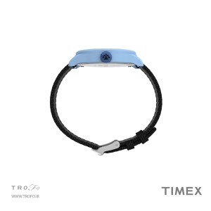 ساعت مچی عقربه ای تایمکس (Timex) مدل TW2W42300