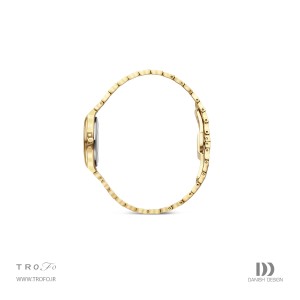 ساعت مچی عقربه ای مردانه دنیش دیزاین (Danish design) مدل IQ95Q1303