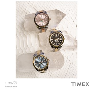 ساعت مچی عقربه ای زنانه تایمکس (Timex) مدل TW2V49900