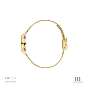 ساعت مچی عقربه ای زنانه دنیش دیزاین (Danish design) مدل IV90Q1268  Akilia Mini Link Two-Tone Gold Green