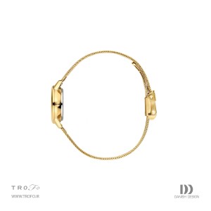 ساعت مچی عقربه ای زنانه دنیش دیزاین (Danish design) مدل IV04Q168  Akilia Mini Gold Husky Hazel