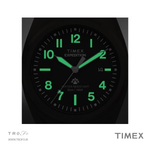 ساعت مچی عقربه ای مردانه تایمکس (Timex) مدل TW2Y09200
