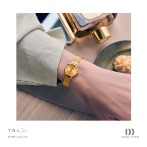 ساعت مچی عقربه ای زنانه دنیش دیزاین (Danish design) مدل IV04Q168  Akilia Mini Gold Husky Hazel