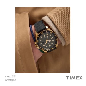 ساعت مچی عقربه ای مردانه تایمکس (Timex) مدل TW4B32100
