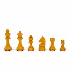 ست کامل شطرنج (مهره-صفحه-جعبه)