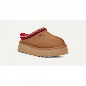 Tazz Chestnut