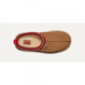 Tazz Chestnut