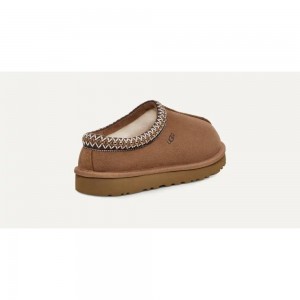 مدل تسمن اسلیپر ( بلوطی ) - Tasman Slipper Chestnut