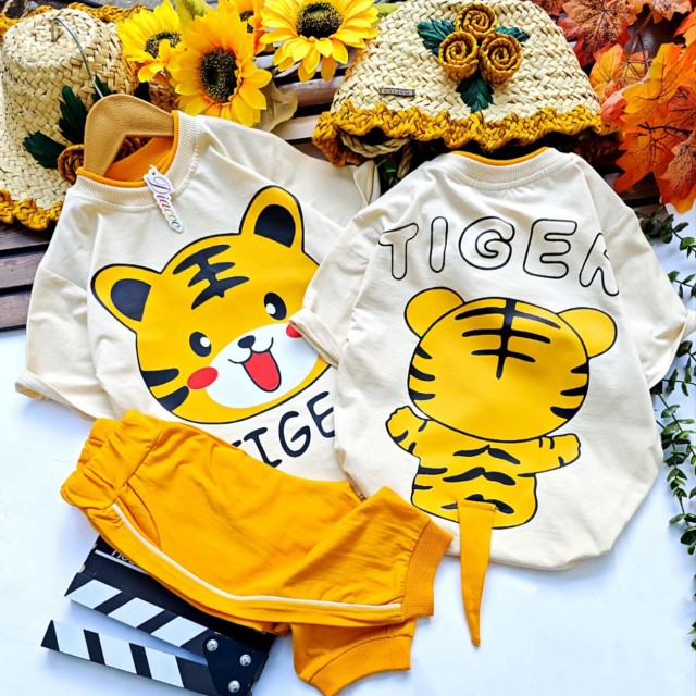 ست بلوز و شلوارک تایگر پسرونه مناسب بهار و تابستانی