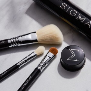 ست براش سه عددی سیگما | Sigma Beauty Essential Trio Brush Set