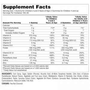 پاستیل مولتی ویتامین مخصوص کودکان برند کرکلند 160 عددی ساخت آمریکا Kirkland Children Multi