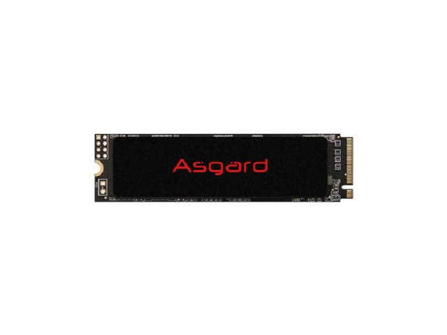 حافظه اس اس دی ازگارد AN3 ظرفیت 512 گیگابایت | SSD ASGARD AN3 512GB