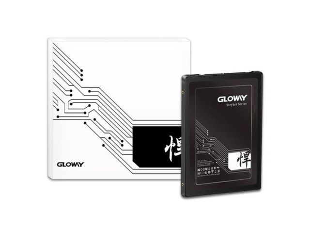 اس اس دی 256گیگابایت گلووی STK256GS3-S7 ا GLOWAY STK256GB 2.5 Inch SATA 3.0 Internal SSD