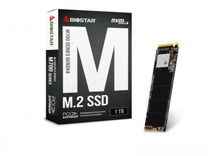 حافظه SSD بایوستار Biostar M760 1TB M.2