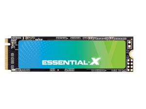 حافظه اس اس دی ExAscend Essential X 256GB