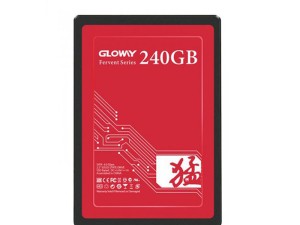 اس اس دی گلووی مدل Gloway-SSD FER series ظرفیت 240 گیگابایت