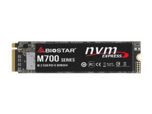 حافظه SSD بایواستار مدل BIOSTAR M700 M.2 2280 128GB NVMe