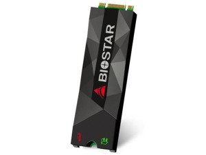 حافظه اس اس دی بایوستار مدل ام 500 nvme با ظرفیت 256 گیگابایت ssd