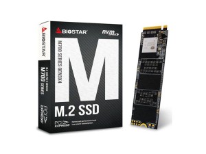 حافظه SSD بایواستار مدل BIOSTAR M700 M.2 2280 128GB NVMe