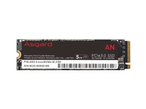 SSD 512 GB M.2 NVME ASGARD AN SERIES