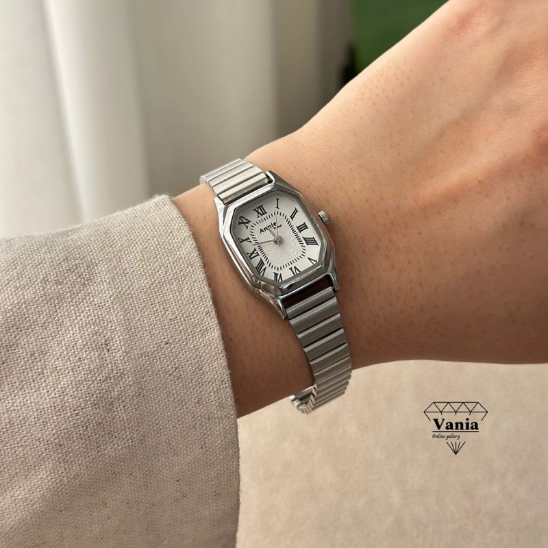 ساعت بند استیل آپامه کد As1332