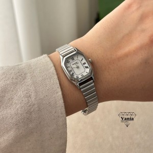 ساعت بند استیل آپامه کد As1332