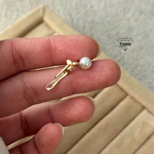 بدلیجات ژوپینگ اصل