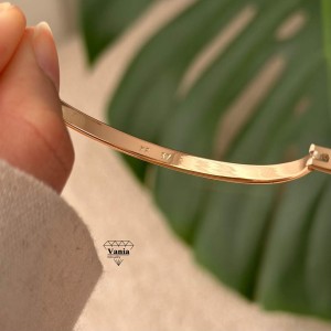 بنگل روکش طلا