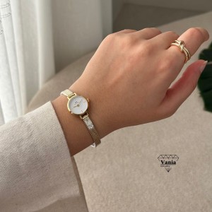 ساعت تمام استیل Dw مینی کد As1306