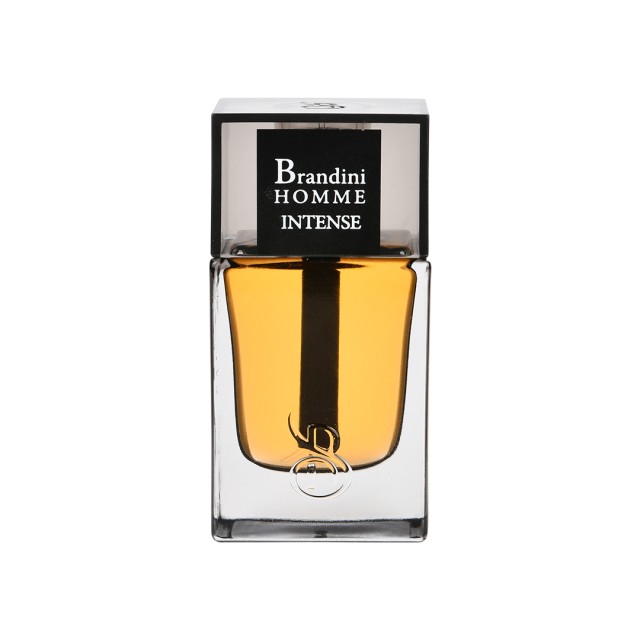 عطر جیبی برندینی هوم اینتنس مردانه 33 میلی لیتر