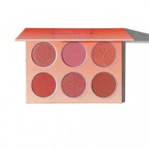 پالت رژگونه 6 رنگ Multicolor شیگلم Floral Flush