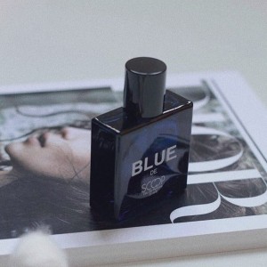عطر جیبی مردانه بلو اسکوپ BLUE DE SCOOP 25ML