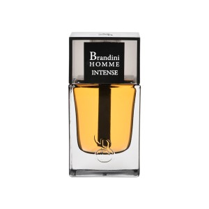 عطر جیبی برندینی هوم اینتنس مردانه 33 میلی لیتر