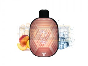 پادسیستم یک بار مصرف اوریون بار لاست ویپ  | LOST VAPE ORION BAR 7500