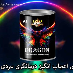 توتون وینتور دراگون